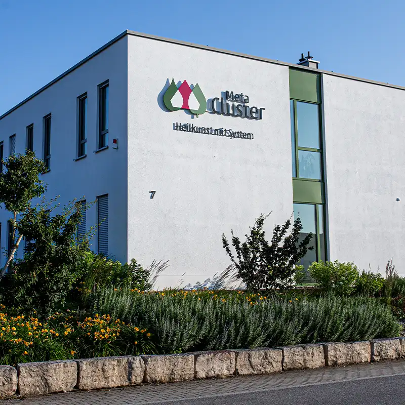Meta Cluster Firmensitz